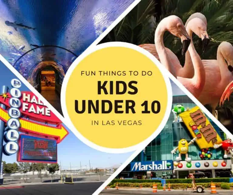 Fun Things to do with Kids Under 10 in Las Vegas